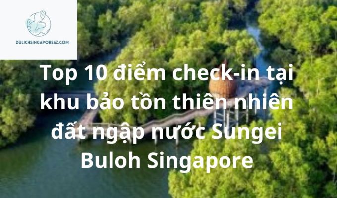 Top 10 điểm check-in tại khu bảo tồn thiên nhiên đất ngập nước Sungei Buloh Singapore